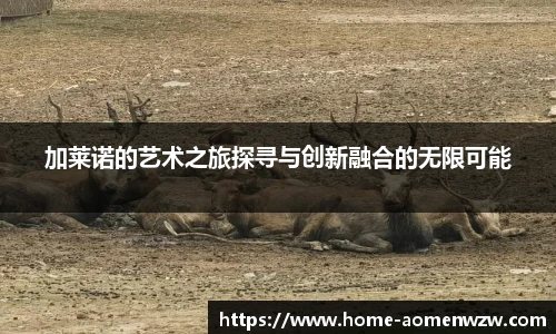 王中王资料